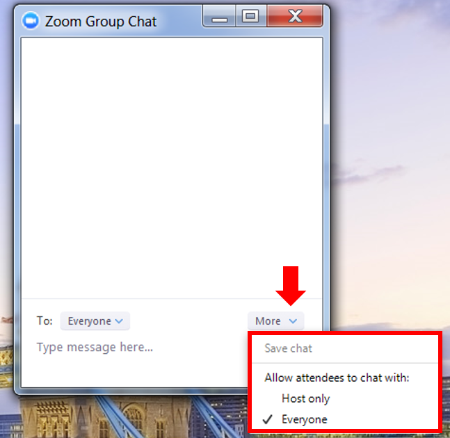Zoom chat options